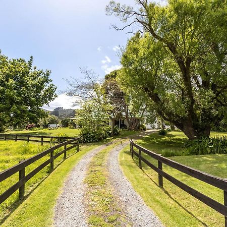 Jacaranda Lodge Coromandel Eksteriør bilde