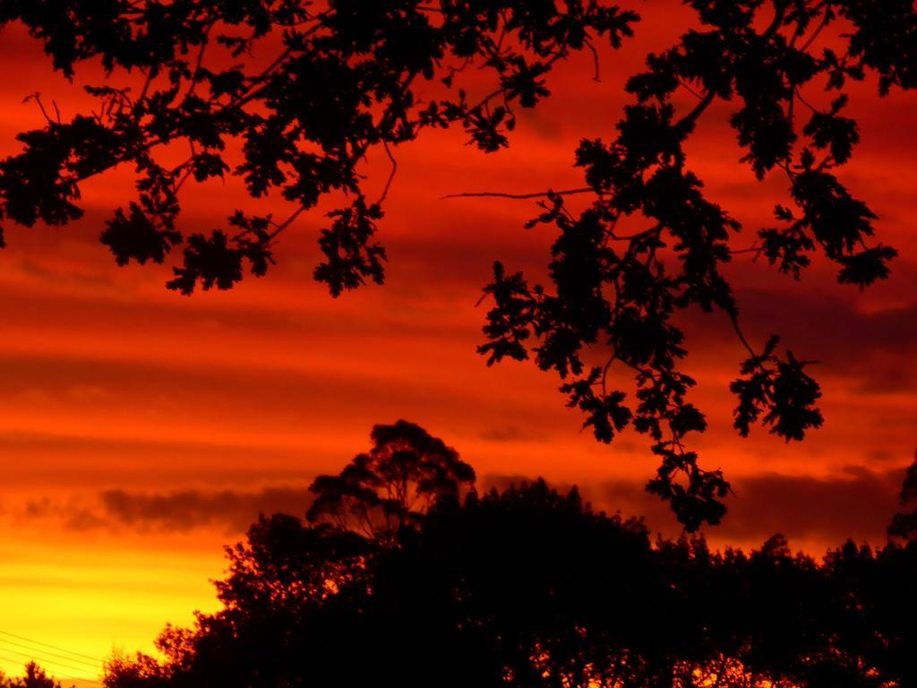 Jacaranda Lodge Coromandel Eksteriør bilde