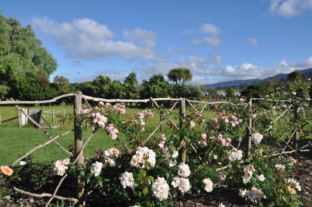 Jacaranda Lodge Coromandel Eksteriør bilde