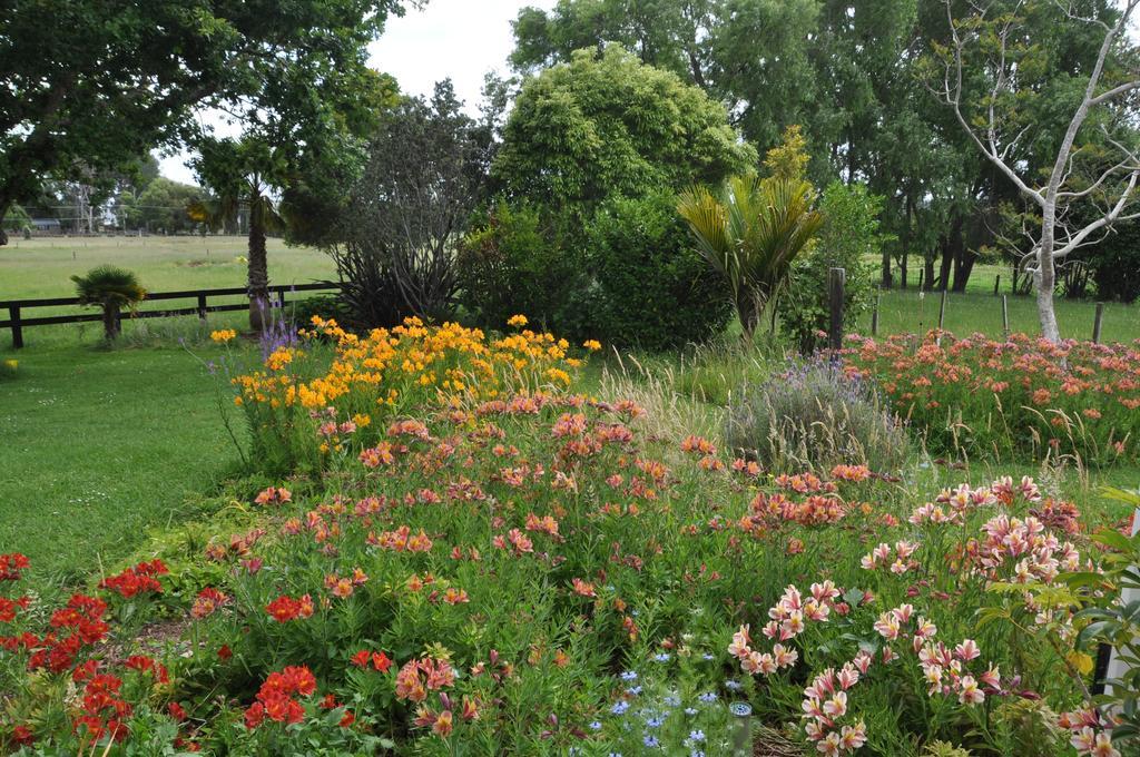 Jacaranda Lodge Coromandel Eksteriør bilde