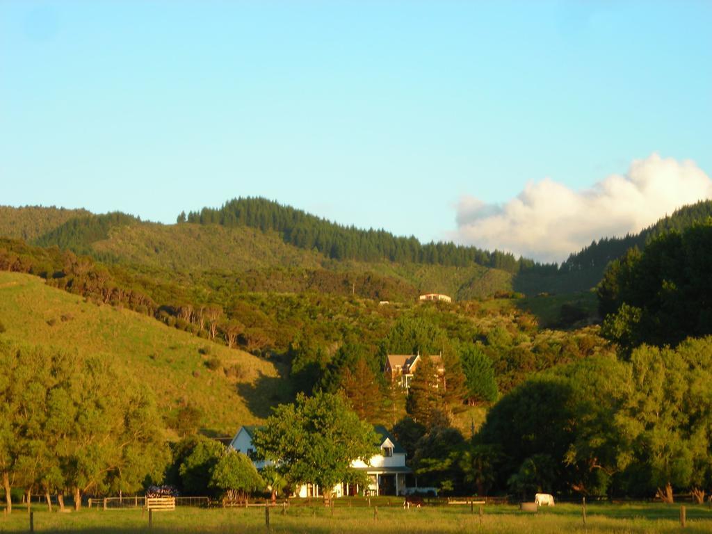 Jacaranda Lodge Coromandel Eksteriør bilde