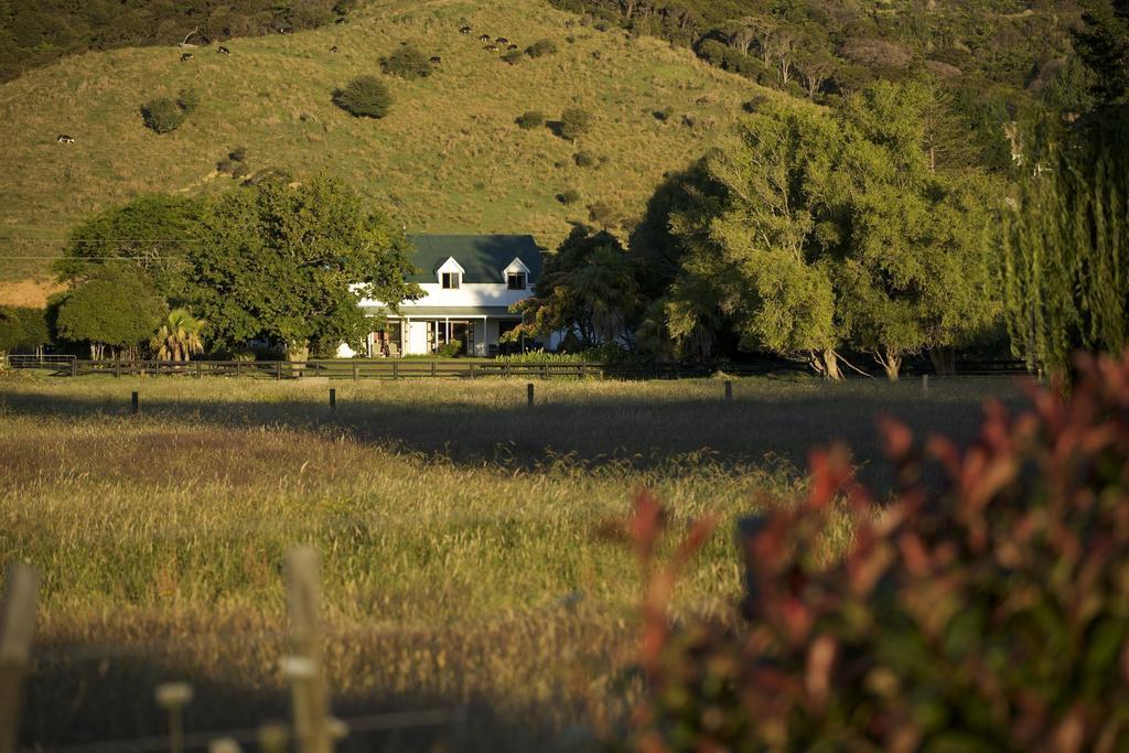 Jacaranda Lodge Coromandel Eksteriør bilde