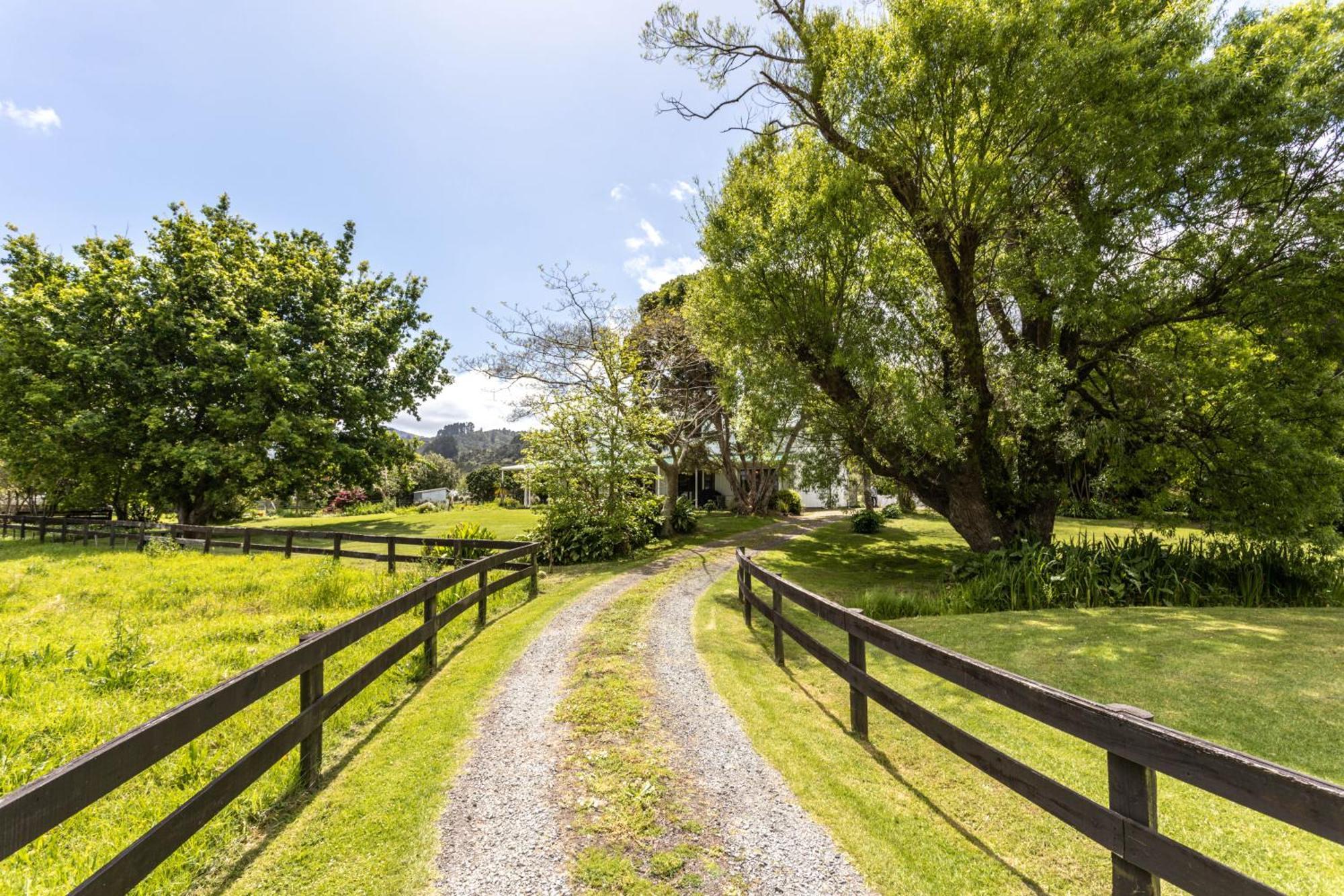 Jacaranda Lodge Coromandel Eksteriør bilde