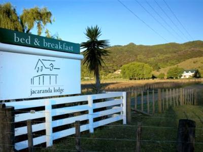 Jacaranda Lodge Coromandel Eksteriør bilde